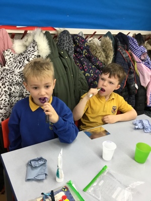 Sycamores teeth!